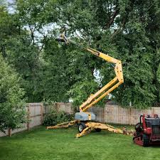 Best Seasonal Cleanup (Spring/Fall)  in Saybrook On The Lake, OH